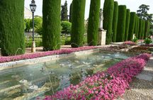 Cordoba Monuments Intensive Tour in English Tickets included