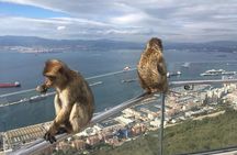 Gibraltar Sightseeing : Classic Rock Tour plus World War 2 Tunnels (Private)
