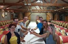 Shore Excursion Marlborough Wine Region Tour from Picton