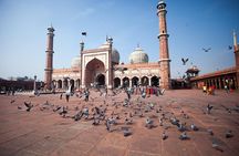 Private Golden Triangle Tour 5 Days from Jaipur