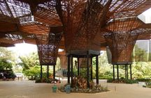 Botanical Gardens and Medellin City walking Tour