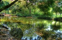 Botanical Gardens and Medellin City walking Tour