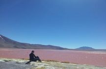Private Day Trip to Laguna Colorada from Uyuni with Bilingüal Guide