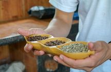 Costa Rican Coffee and Chocolate Crafting Experience: North Fields Cafe