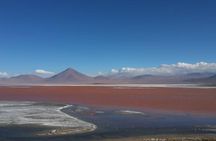 Private Day Trip to Laguna Colorada from Uyuni with Bilingüal Guide