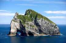 5-Day Bay of Islands, Auckland, Hobbiton, Rotorua & Waitomo Tour