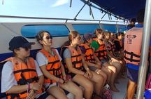 Mr. Tu Day Trip to Angthong Marine Park by Speed Boat from Koh Samui