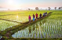 Bali Sambangan Waterfall, Rice Field, Secret Garden Tour