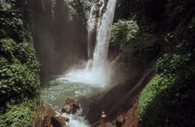 Bali Sambangan Waterfall, Rice Field, Secret Garden Tour
