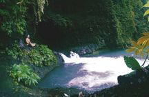 Bali Sambangan Waterfall, Rice Field, Secret Garden Tour