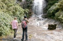 Waterfall Trekking in Knuckles Mountain Range