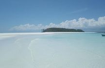 Half Day Zanzibar Mnemba Atoll Marine Reserve Snorkeling Tour