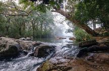 Waterfall Trekking in Knuckles Mountain Range