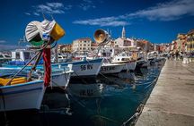 Highlights of Istria Full-Day Photo Tour from Zagreb