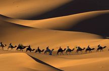 Merzouga desert tour from Marrakech & camel ride