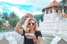 Day Tour to Kandy From Colombo