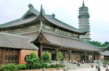 Luxury Trang An Bai Dinh 1 Day Group Tour From Ha Noi
