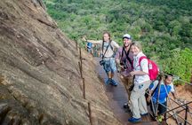 Exclusive : Sigiriya Rock Fortress and Dambulla Cave Temple Tour