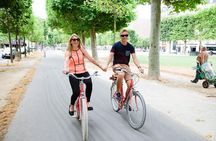 Highlights of Paris Bike Tour w/ a Local Guide (English or Dutch)