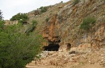 Private tour of the Israeli Far North - Tel Dan, Banias Reserve & Waterfall