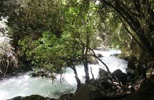 Private tour of the Israeli Far North - Tel Dan, Banias Reserve & Waterfall