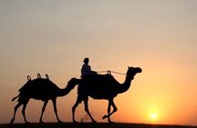 Desert Safari Dubai