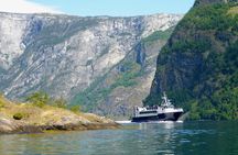Guided Fjord and Glacier Tours - Balestrand