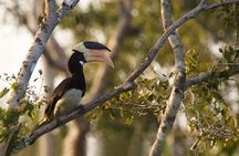 Wilpattu Safari Drive From Trincomalee, Nilaveli & Suburbs 