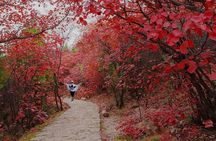 Beijing Private Tour to Summer Palace and Fragrant Hill with Cable Car Ride