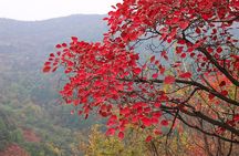 Beijing Private Tour to Summer Palace and Fragrant Hill with Cable Car Ride