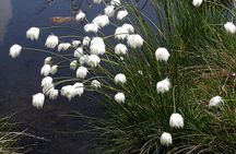 The Seven Rila Lakes Day Tour From Sofia