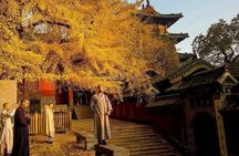 Luoyang Private Tour to Shaolin Temple including Kungfu Lesson