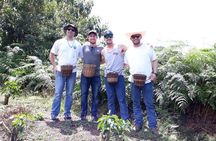 Coffee Lovers Express Coffee Tour 