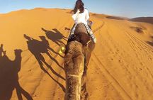 Marrakech to Fez group budget 3-Day desert tour with camel trek