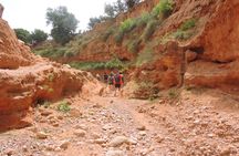 Walk between Argan Forest, Ocean & Waterfalls. 12 km