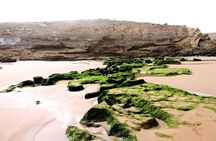 Walk between Argan Forest, Ocean & Waterfalls. 12 km