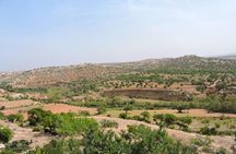 Walk between Argan Forest, Ocean & Waterfalls. 12 km