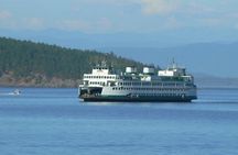 Guided Kayak Tour on San Juan Island