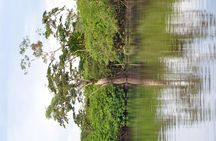 Cuyabeno 4 Day Jungle Tour