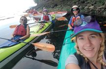 Guided Kayak Tour on San Juan Island