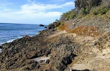 Barbados Hiking and Sightseeing Tour (Transport Included)