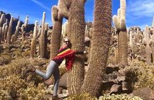 Private Volcano Tunupa and Uyuni Salt Flats Full-Day Tour from Uyuni