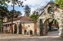 Santiago: Full day visiting Santa Rita & Undurraga vineyards. Entraces included