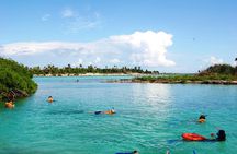 Mayan Adventure Snorkeling Tour from Playa del Carmen or Riviera Maya
