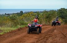 Deluxe ATV Waterfall and Swim Experience