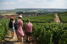 Gourmet walk in the heart of the vineyards with Champagne tasting near Epernay