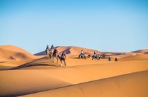  Merzouga Sahara Desert