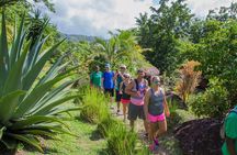 Gros Piton Hike 