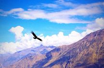 Full Day trip from Arequipa to Colca Canyon ending in Puno