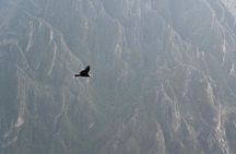 TOUR COLCA CANYON 2D - 1N (Shared Service)
